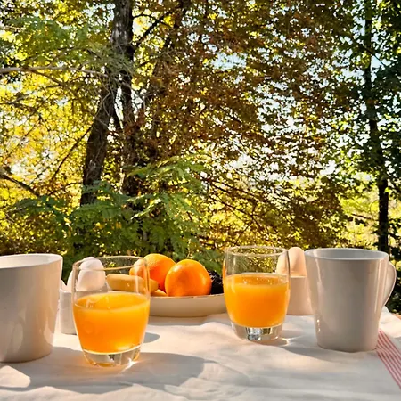 Escoffier Vila Beaune (Cote d'Or)